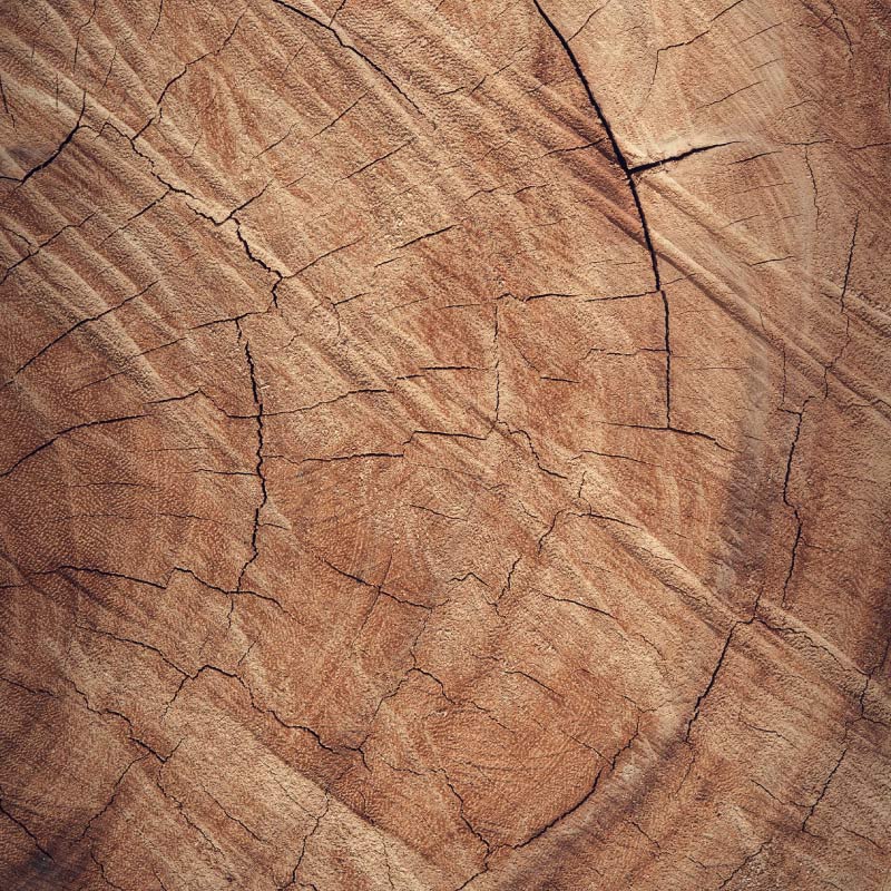 Sunbird-grain-collection